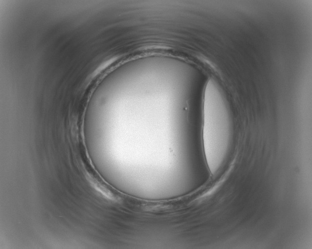X0000082941113200702011105