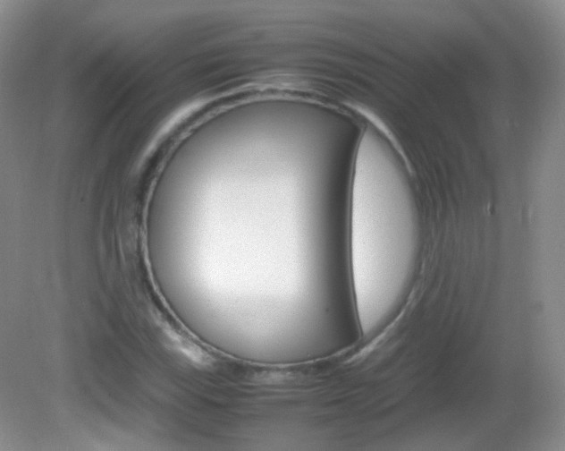 X0000082941115200702011105
