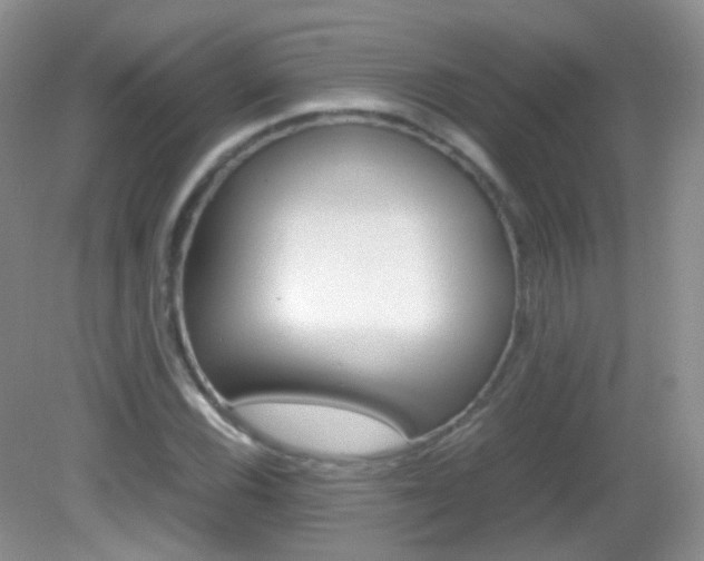 X0000082941116200702011105