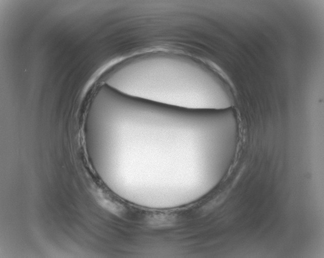 X0000082941117200702011105