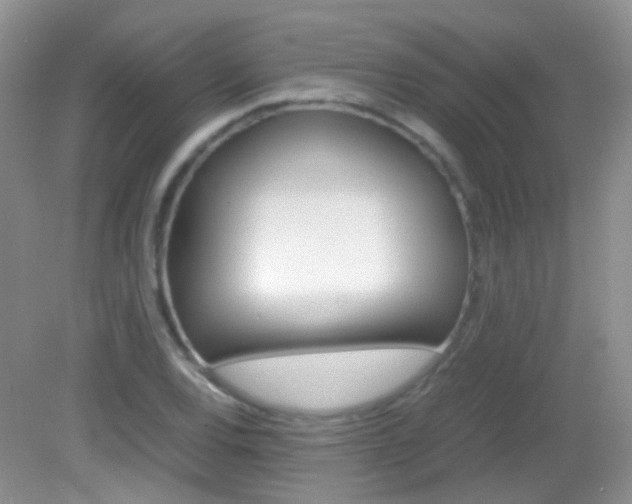 X0000082941120200702011105