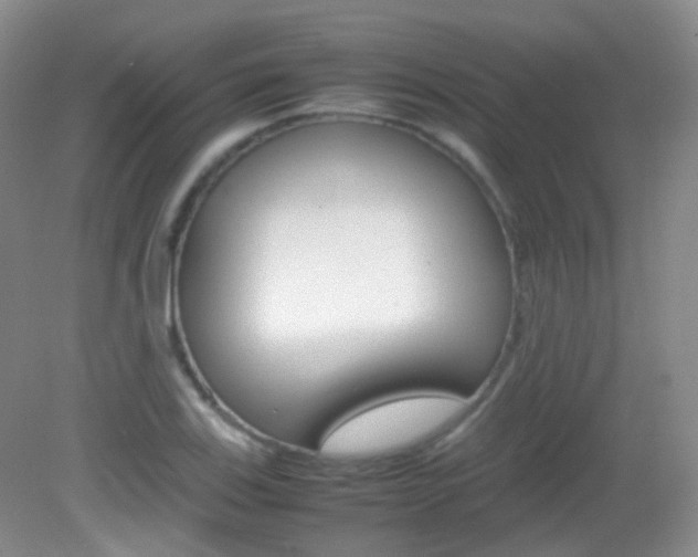 X0000082941123200702011105