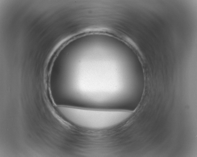 X0000082941124200702011105