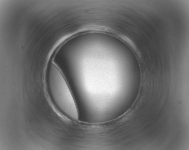X0000082941128200702011105