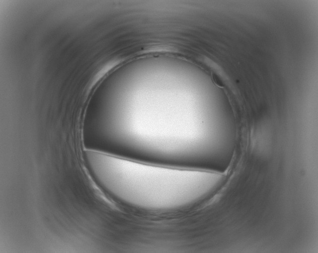 X0000082941129200702011105
