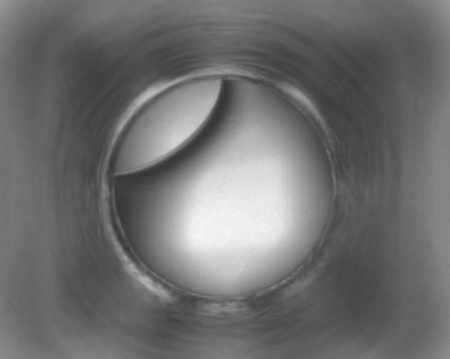 X0000082941133200702011105