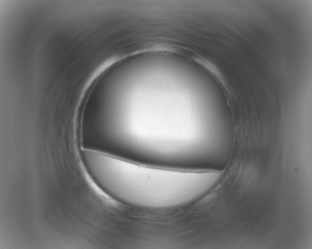 X0000082941135200702011105
