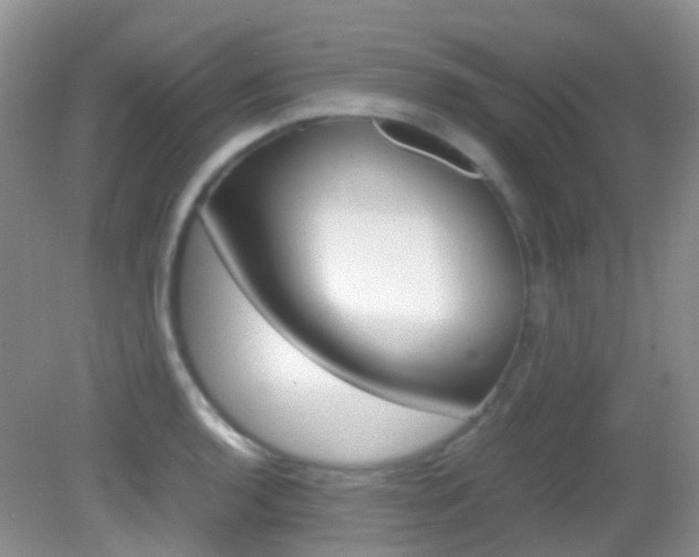 X0000082941136200702011105