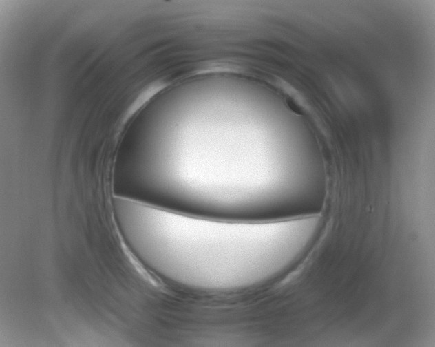 X0000082941137200702011105