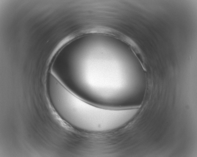 X0000082941138200702011105