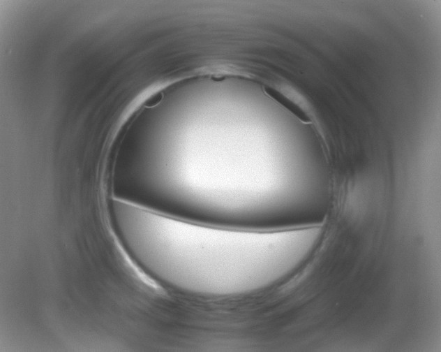 X0000082941141200702011105