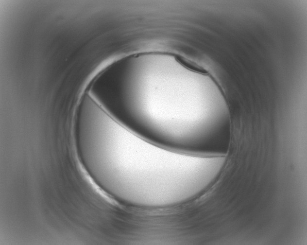 X0000082941142200702011105