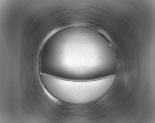 X0000082941143200702011105