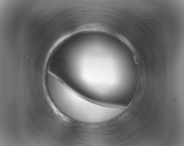 X0000082941144200702011105
