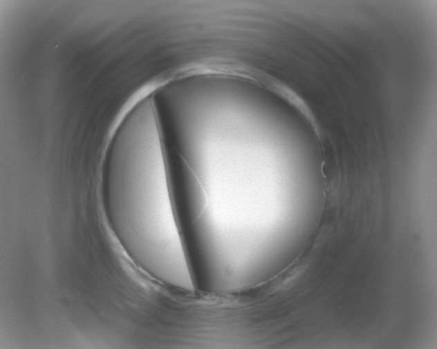 X0000082941146200702011105