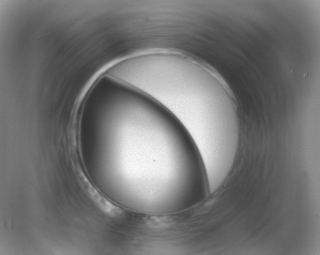 X0000082941148200702011105