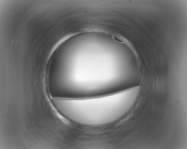 X0000082941149200702011105