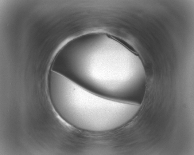X0000082941151200702011105