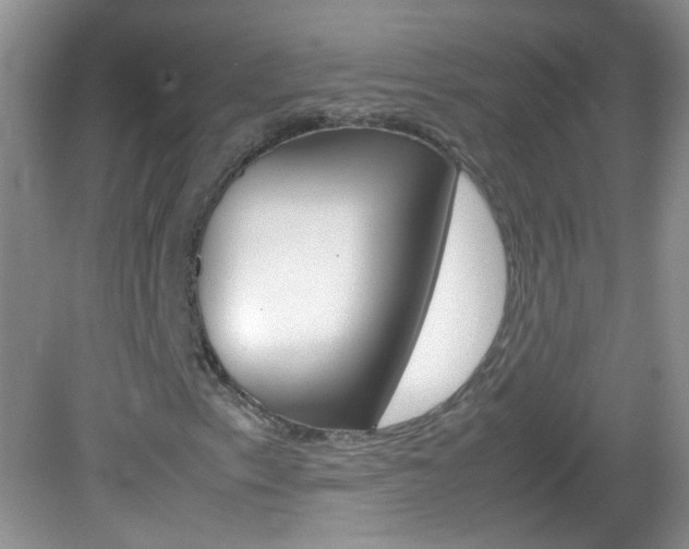 X0000082941153200702011104