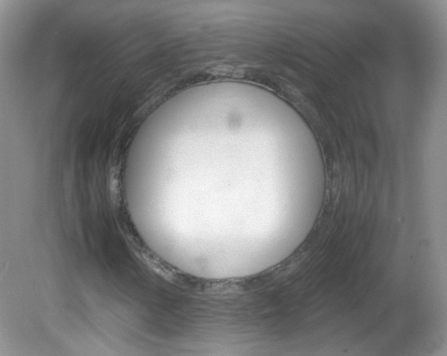 X0000082941154200702011104