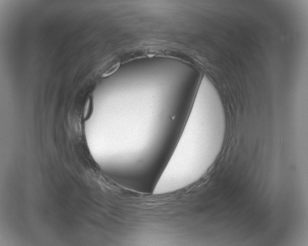 X0000082941155200702011104