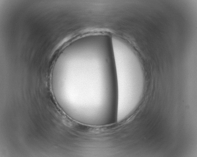 X0000082941165200702011104