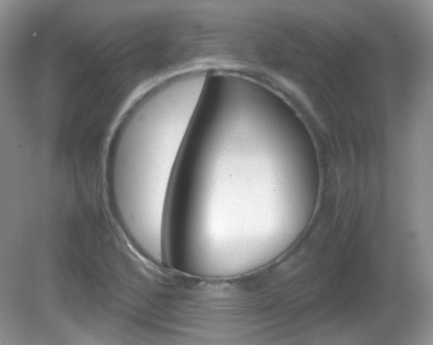 X0000082941168200702011104
