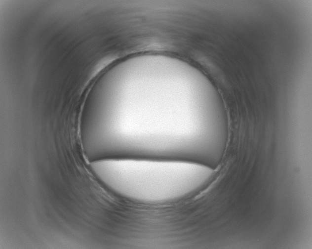 X0000082941170200702011104