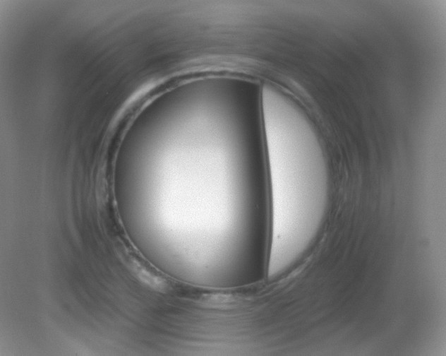 X0000082941172200702011104