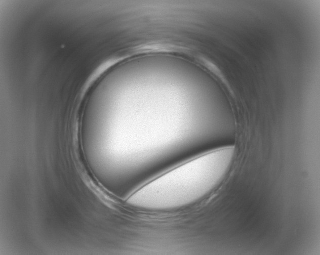 X0000082941179200702011104