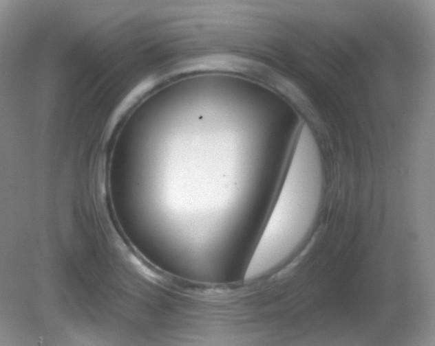 X0000082941180200702011104