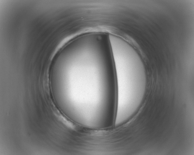 X0000082941184200702011104