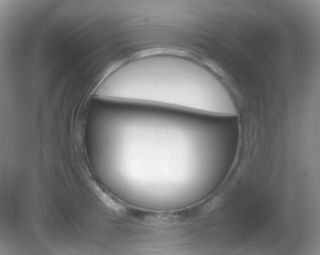 X0000082941185200702011104