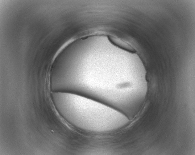 X0000082941198200702011104