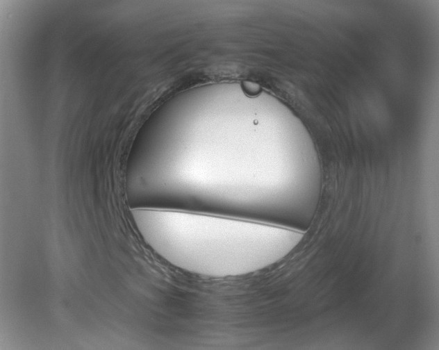 X0000082941201200702011103
