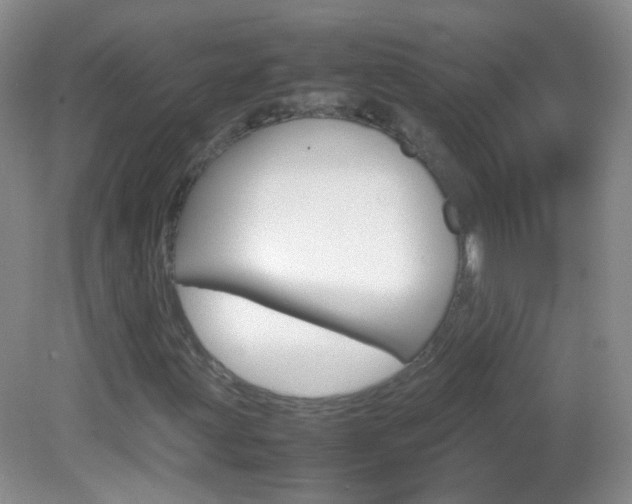 X0000082941203200702011103