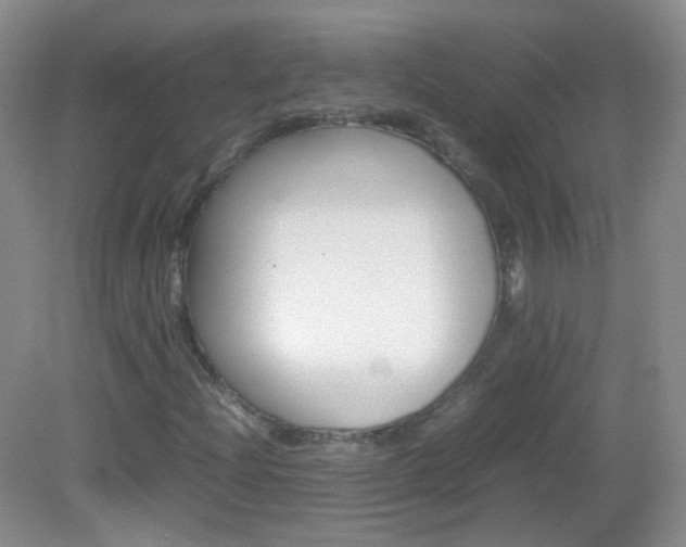 X0000082941204200702011103