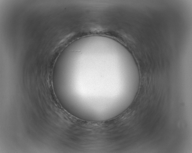 X0000082941205200702011103