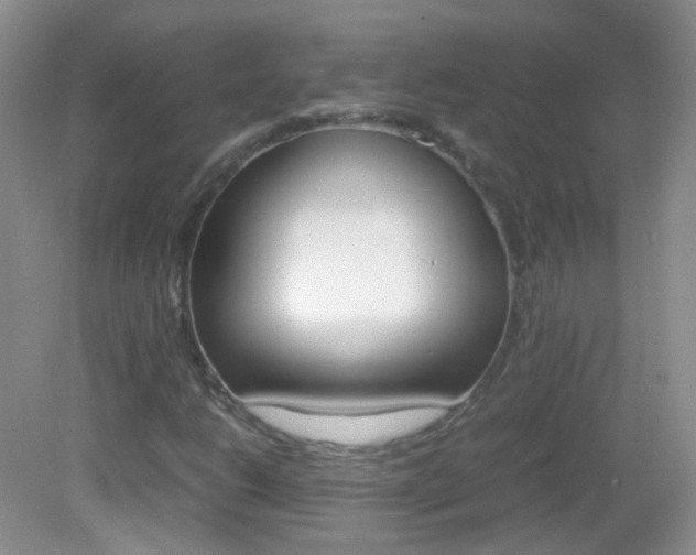 X0000082941206200702011103