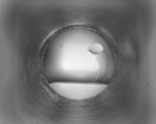 X0000082941208200702011103