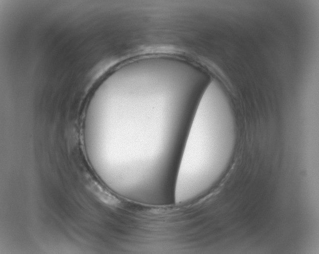 X0000082941212200702011103