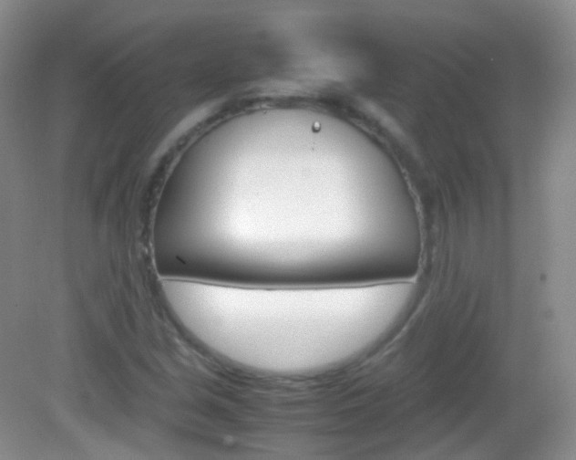 X0000082941213200702011103