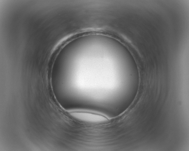 X0000082941214200702011103