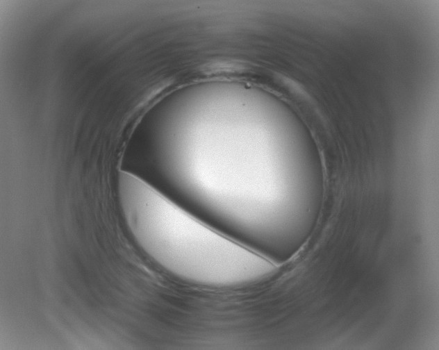 X0000082941217200702011103