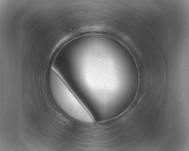 X0000082941218200702011103
