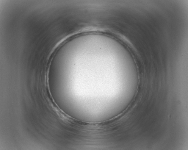 X0000082941220200702011103