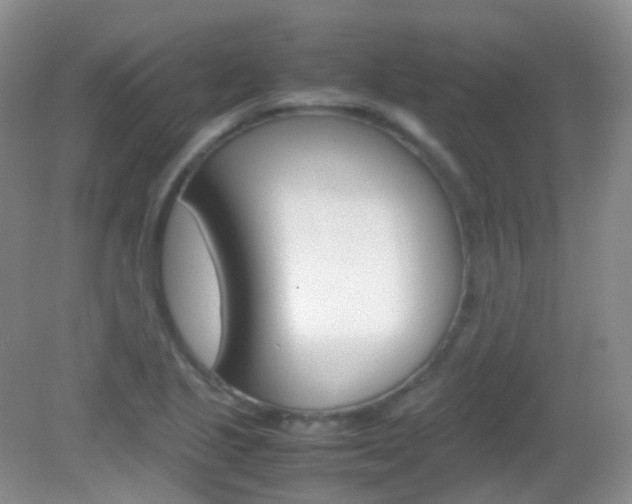 X0000082941221200702011103