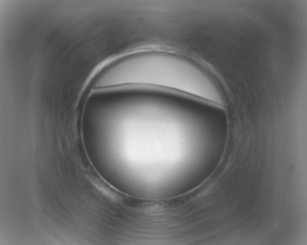 X0000082941222200702011103