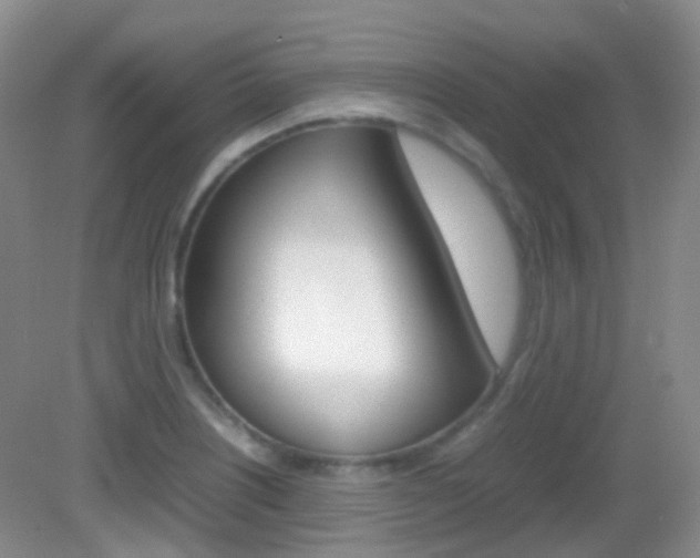 X0000082941226200702011103