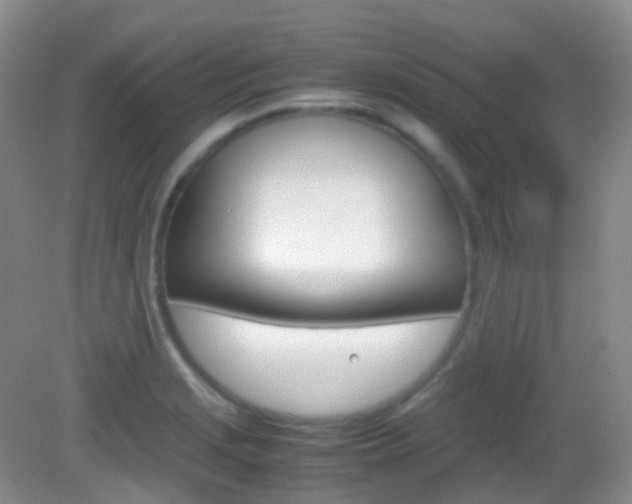 X0000082941229200702011103